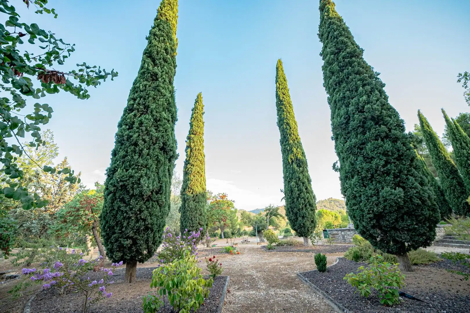 Jardí de Casa o xalet en venda en Nonaspe