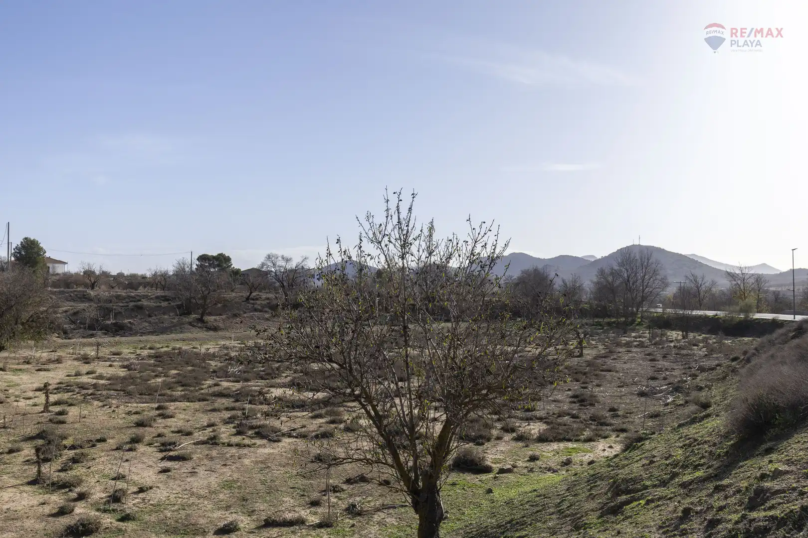 Rural land for sale in Paraje el Vivero 1, imagen 21