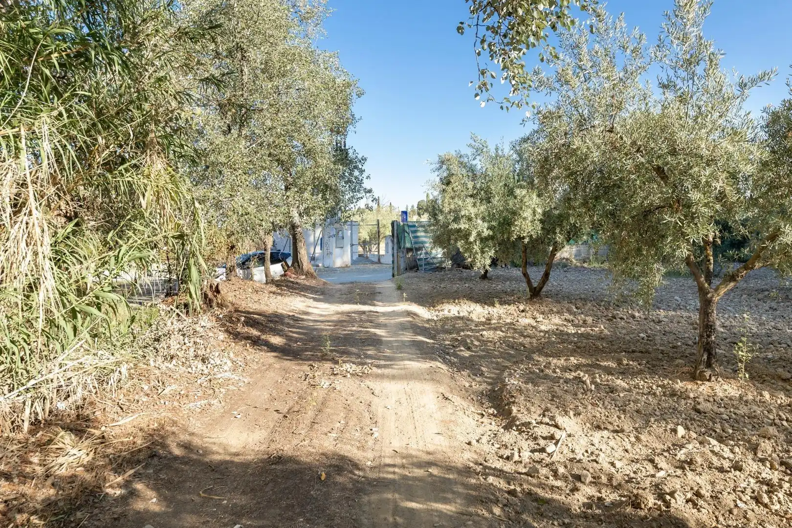 Rustikales Grundstück zum Verkauf in Calle rio bermejo, imagen 11