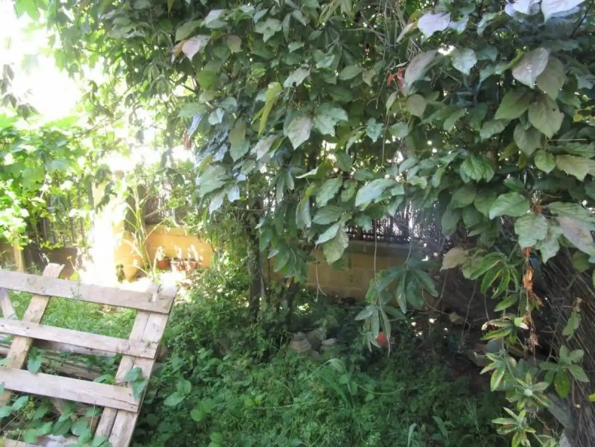 Jardín de Casa adosada en venta en Pelabravo con Calefacción, Terraza y Piscina comunitaria