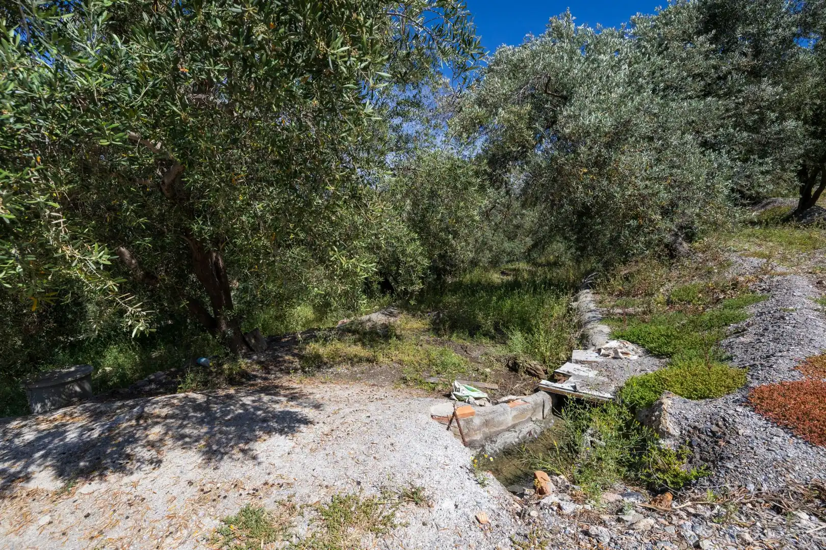 Rustikales Grundstück zum Verkauf in POLIGONO 20 PARCELA 90, imagen 23