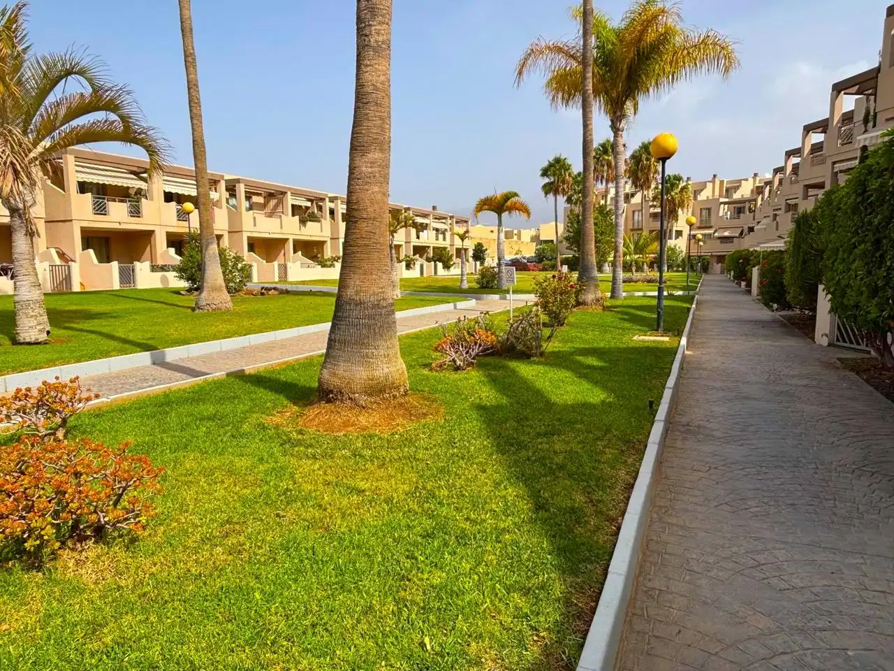 Exterior view of Duplexes for sale in Granadilla de Abona  with Furnished and Community pool