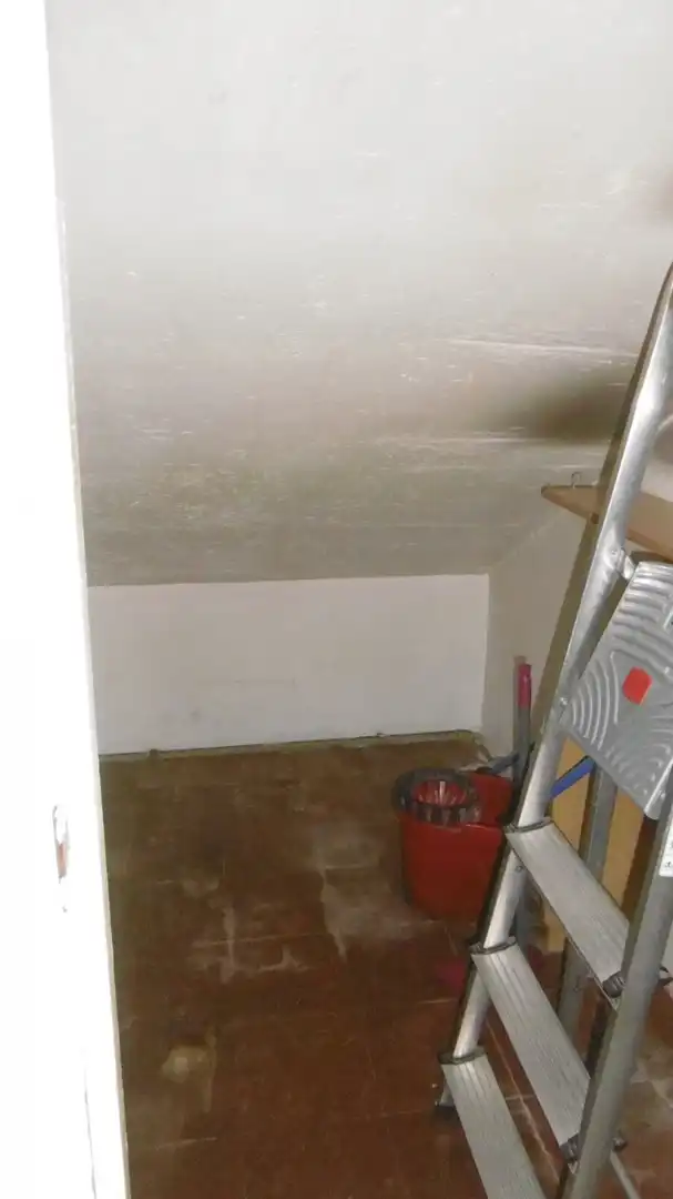 Gewerbefläche zur Übernahme in Centre, imagen 13
