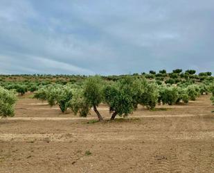 Finca rústica en venda en Fuerte del Rey