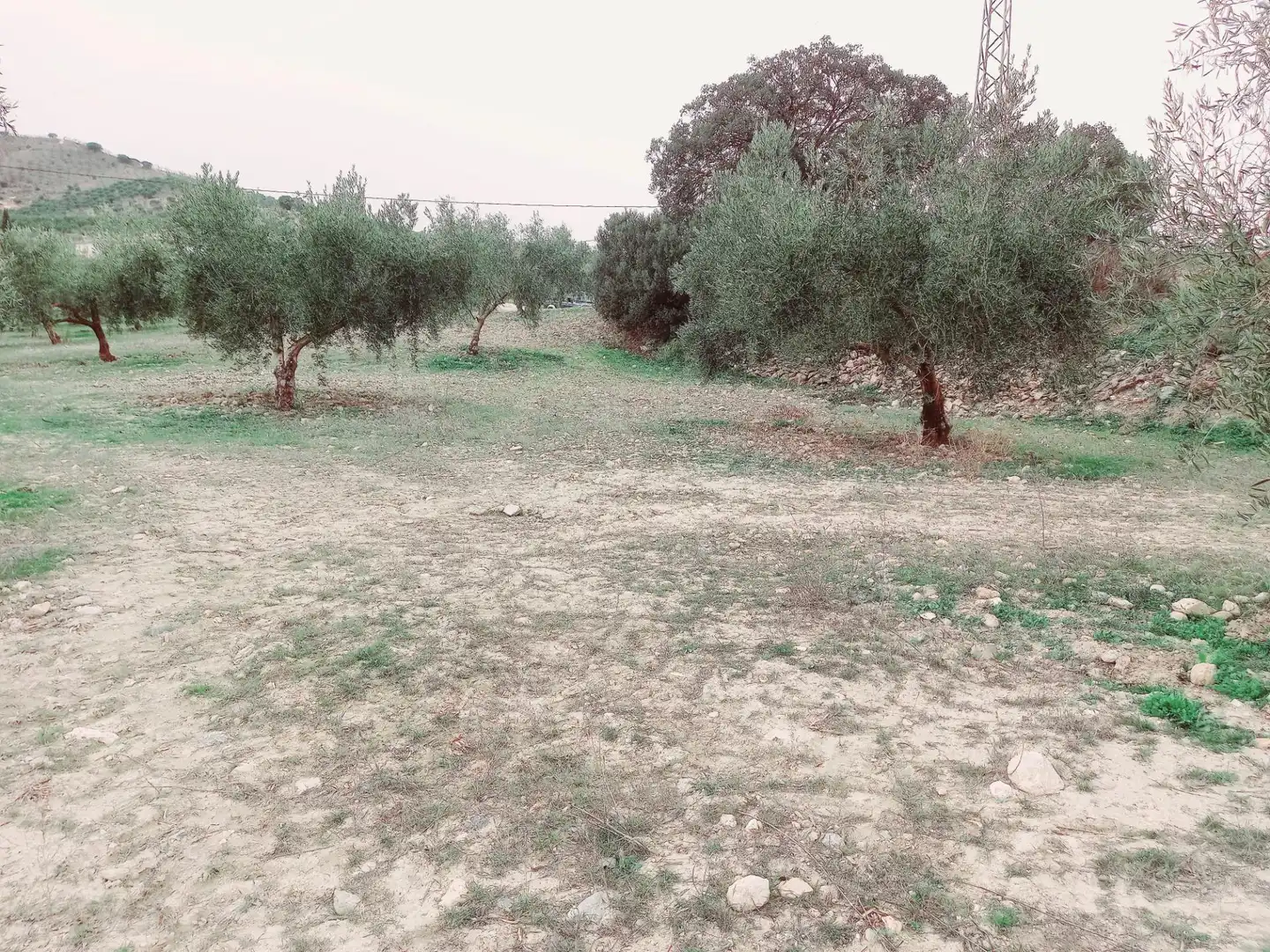 Terreni e lotti in vendita a Alhama de Granada, imagen 5