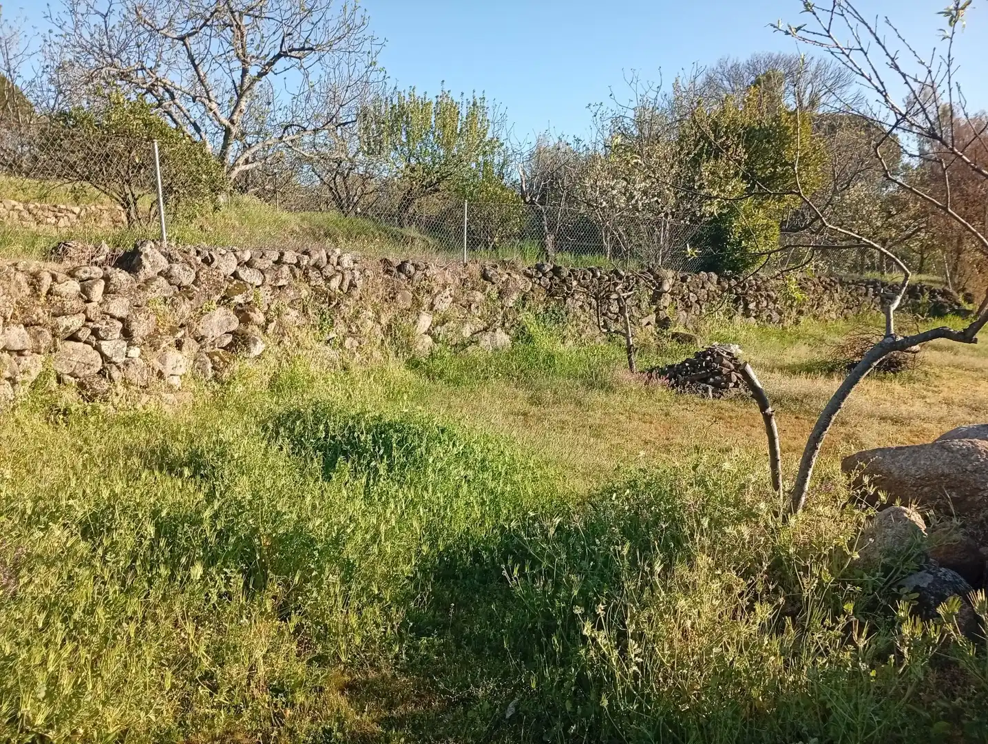 Terreno en venta en Valverde de la Vera