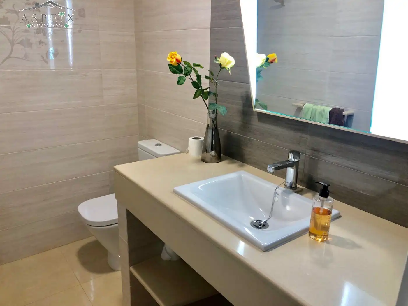 Bany de Casa o xalet en venda en Elche / Elx amb Aire condicionat, Jardí privat i Terrassa