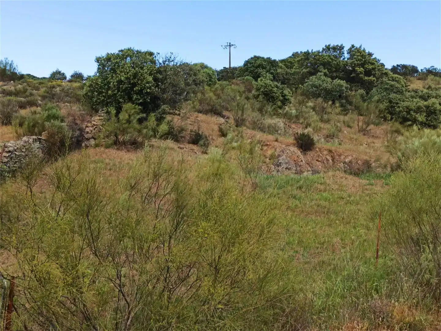 Land for sale in Jaraicejo, Cáceres