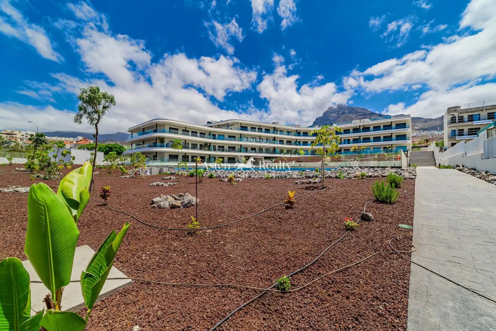 Ático con piscina en venta en el Pino, imagen 36