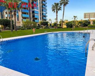 Piscina de Pis de lloguer en Benidorm amb Aire condicionat, Jardí privat i Terrassa