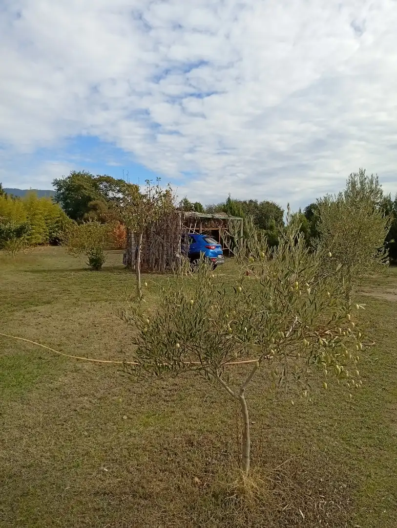 Finca rústica en venta en Candeleda