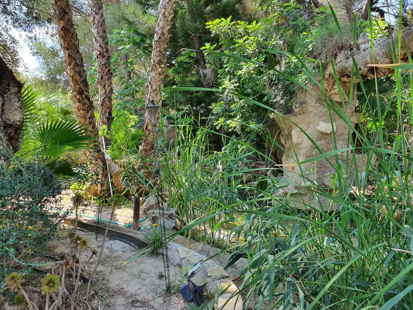 Jardín de Casa o chalet en venta en Murcia con Trastero y Piscina