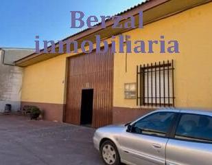 Exterior view of Premises for sale in Baños de Ebro / Mañueta