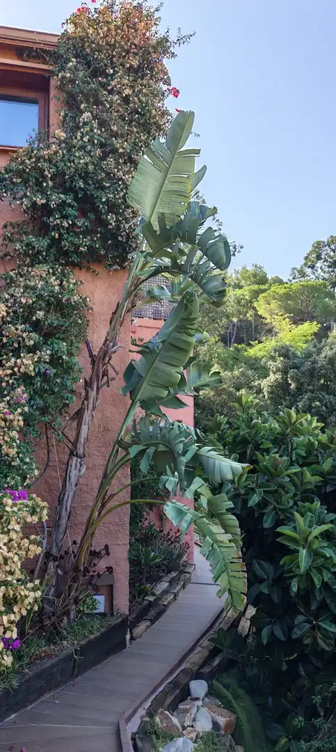 Casa con piscina en venta en Roca Grossa, imagen 46