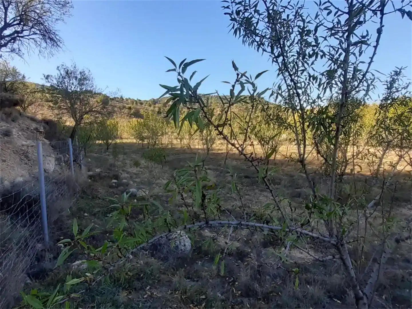 Terreno en venta en Algar de Mesa, Guadalajara
