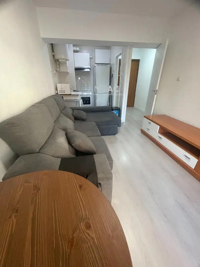 Sala de estar de Piso de alquiler en Madrid con Terraza y Amueblado