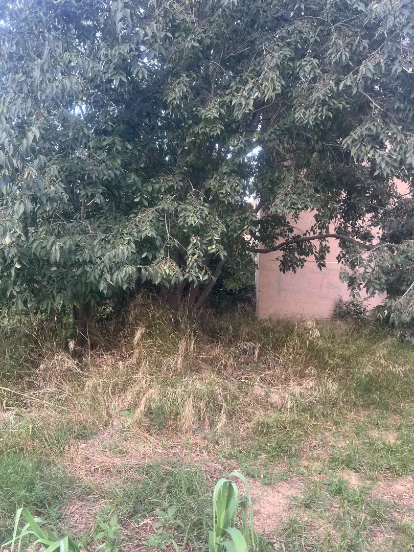Terreno residenziale in vendita a Camí del Recreo, imagen 5