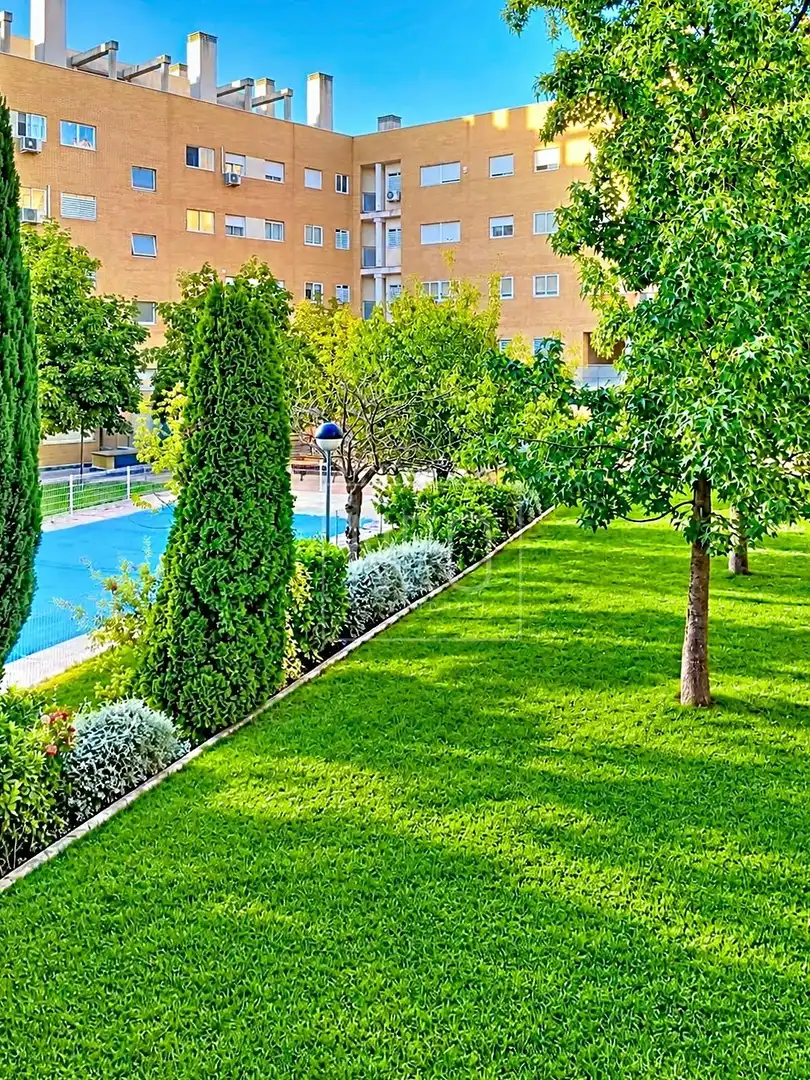 Piso con piscina en venta en Calle PRESIDENTE J M AZNAR, imagen 2