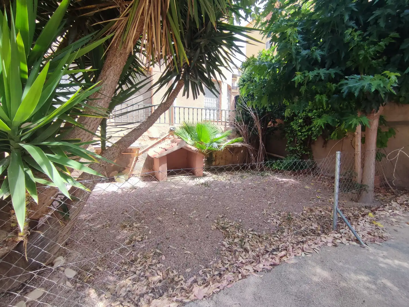 Jardí de Casa o xalet en venda en Petrer amb Jardí privat, Terrassa i Traster