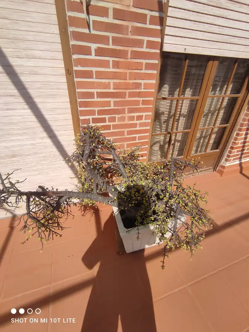 Penthouse with lift for sale in Santa Pola ciudad, imagen 30