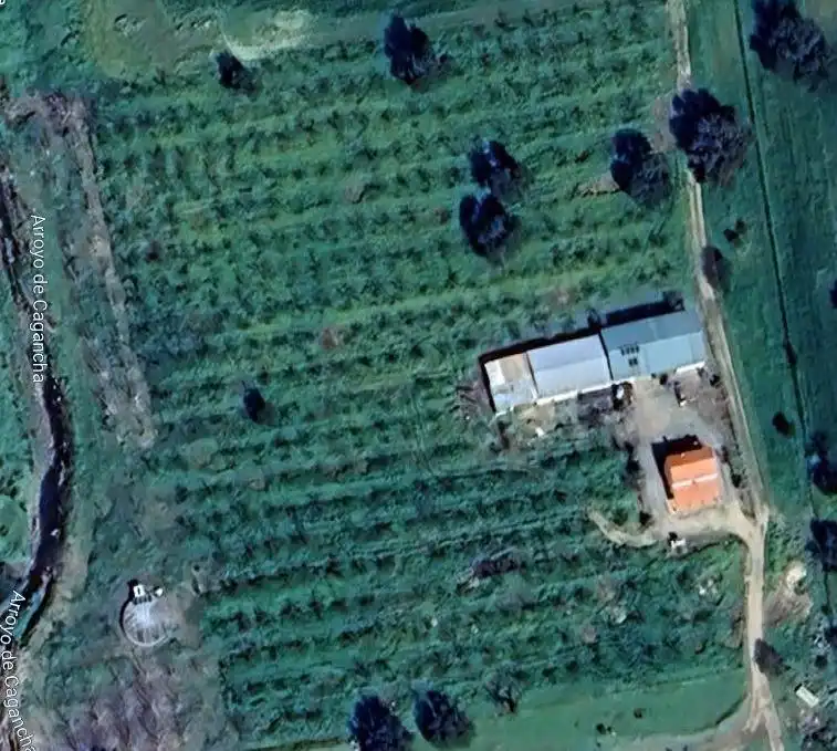 Finca rústica en venta en Zalamea de la Serena