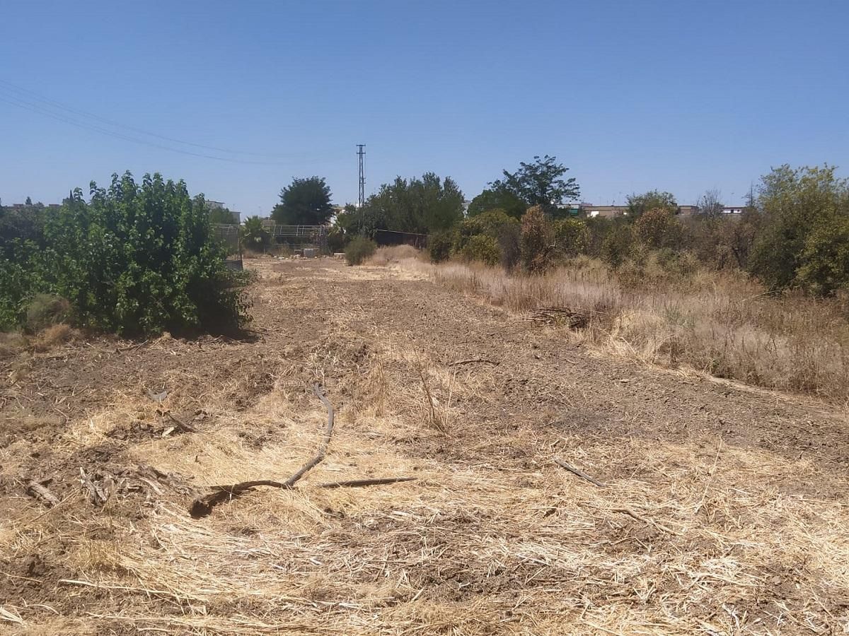 Residencial en venda en Palma del Río
