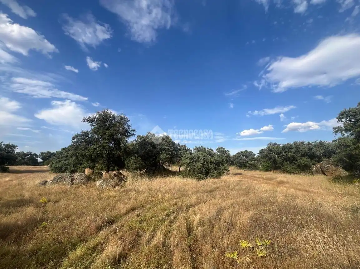 Terreno en venta en Santa Ana de Pusa