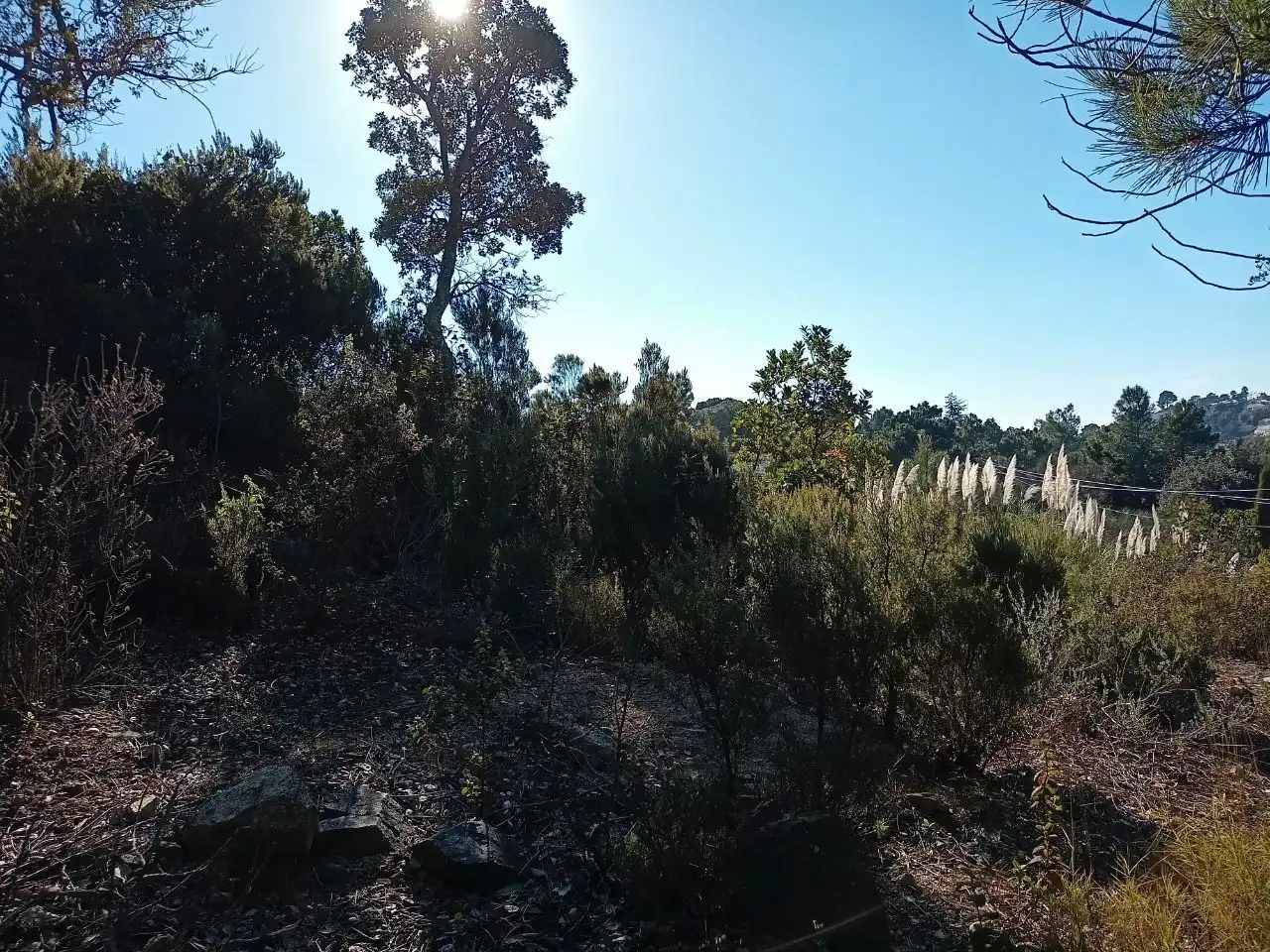Terreno residencial en venta en Lloret Residencial - Montlloret, imagen 4