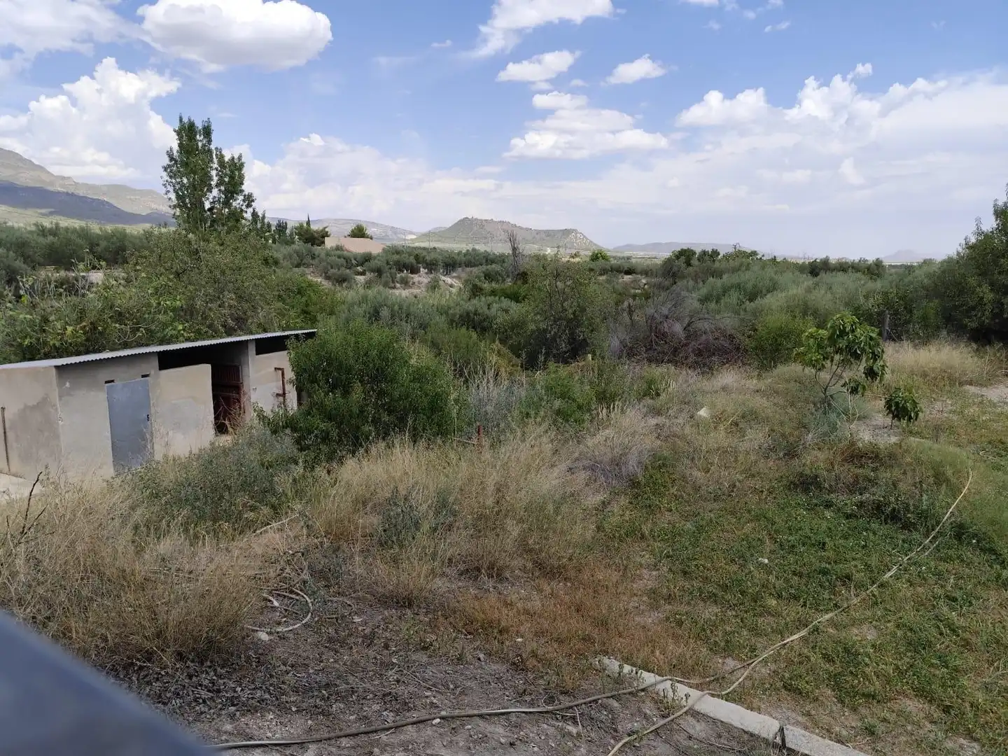 House with pool for sale in Moratalla, imagen 38