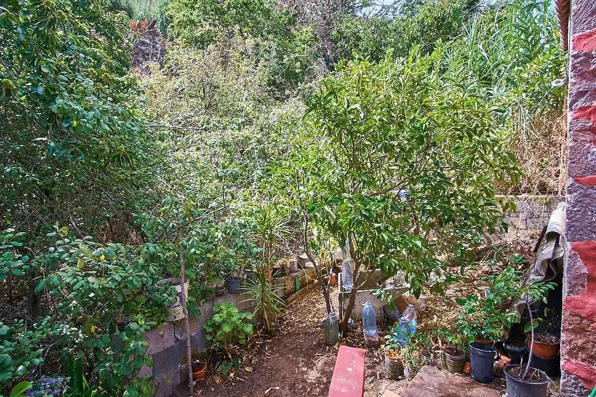 Jardín de Casa o chalet en venta en Vega de San Mateo con Jardín privado y Terraza