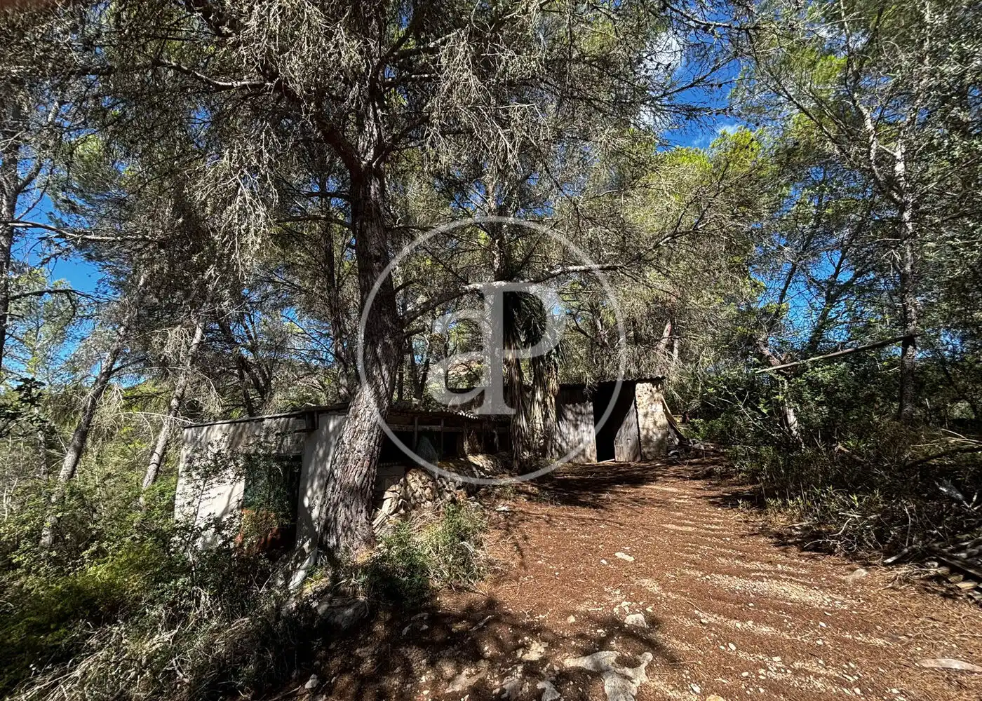 Wohnbaugrundstück zum Verkauf in Llucmajor pueblo, imagen 28