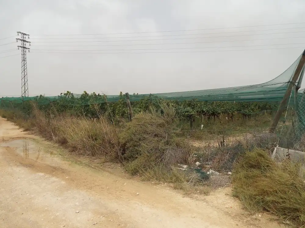 Terreno residencial en venta en Monforte del Cid, imagen 12