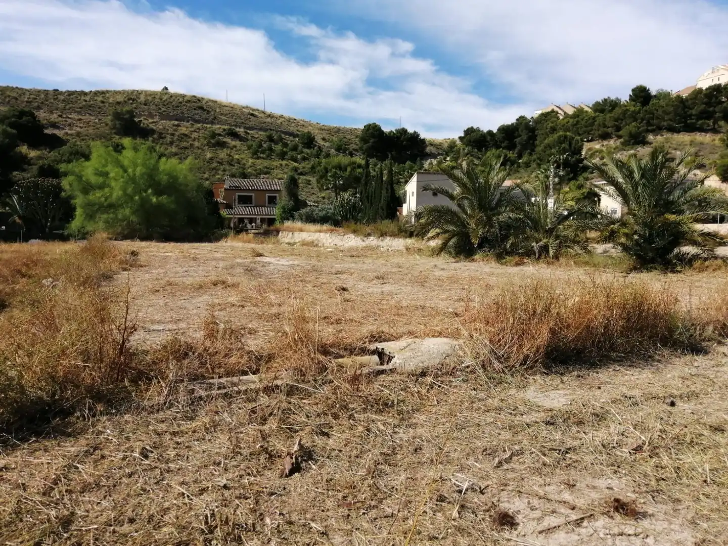 Rural land for sale in Musico Josep Serrano
