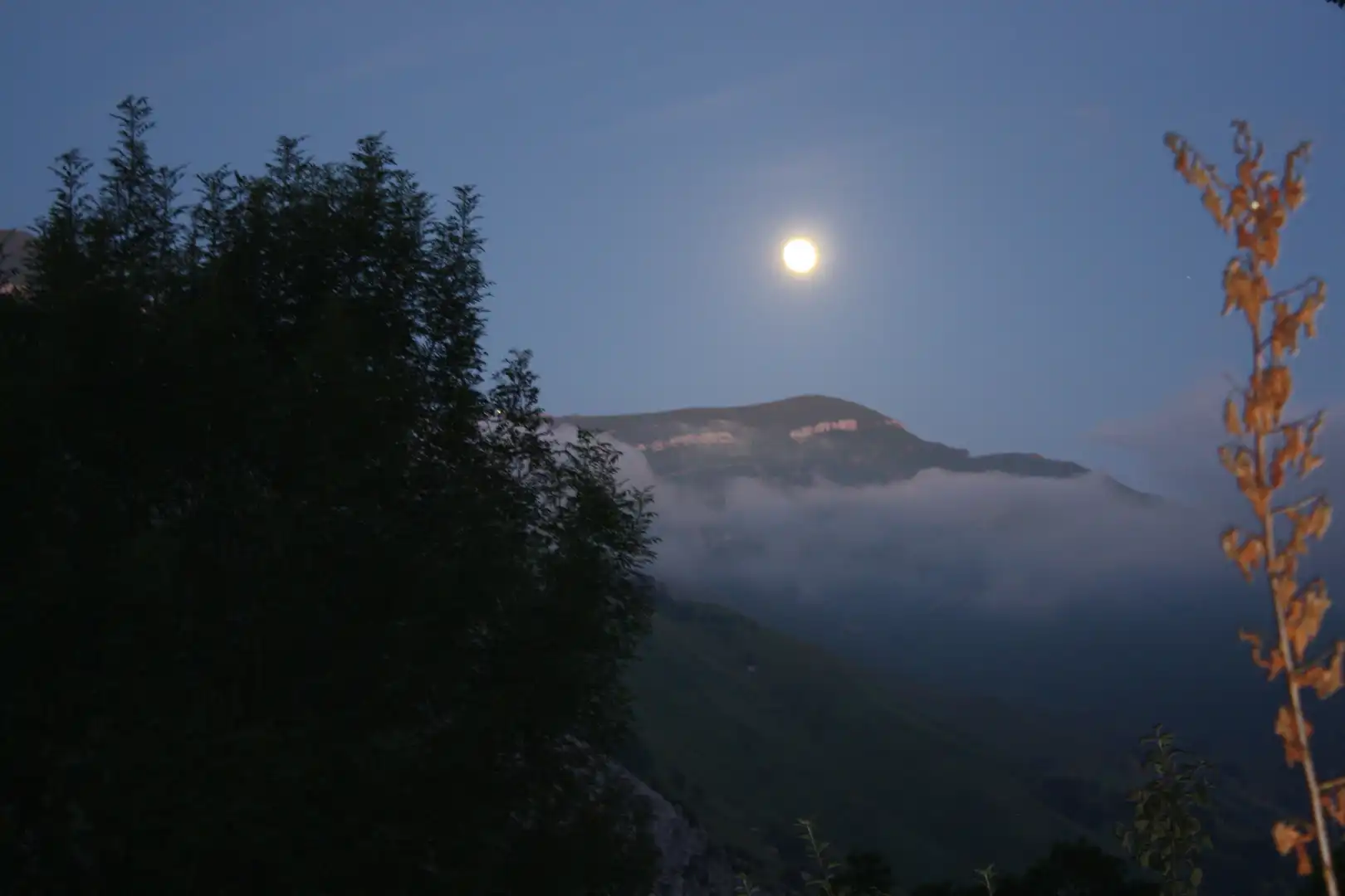 Vista exterior de Finca rústica en venta en San Roque de Riomiera con Jardín privado