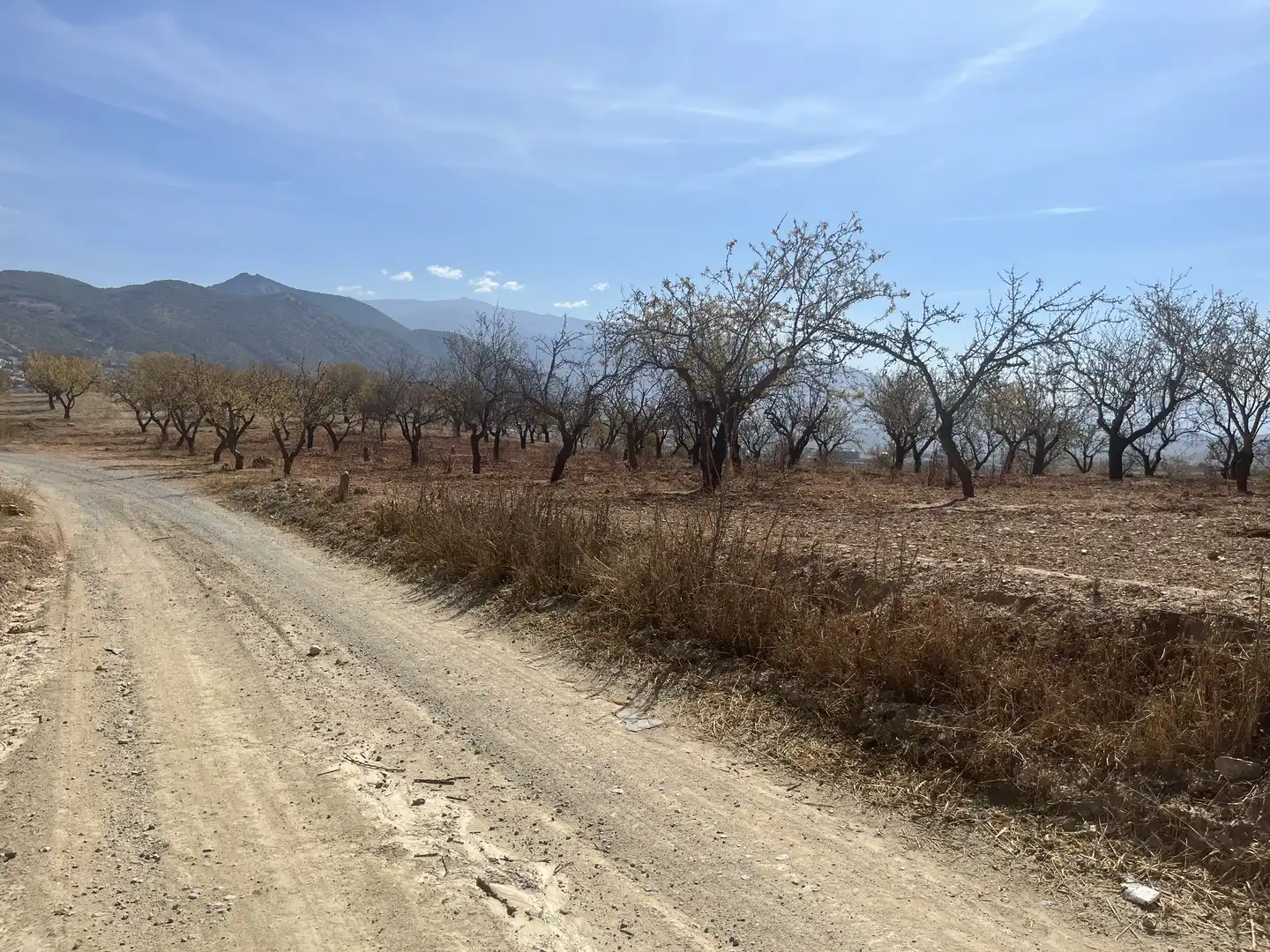 Rustikales Grundstück zum Verkauf in Avenida de Andalucía, imagen 14