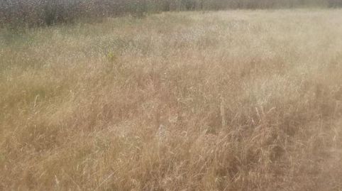 Photo 5 of Residential for sale in La Zarza (Badajoz), Badajoz