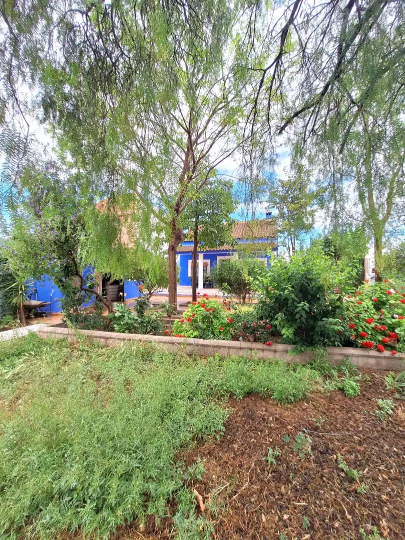 Country homes for sale in Sangonera la Seca