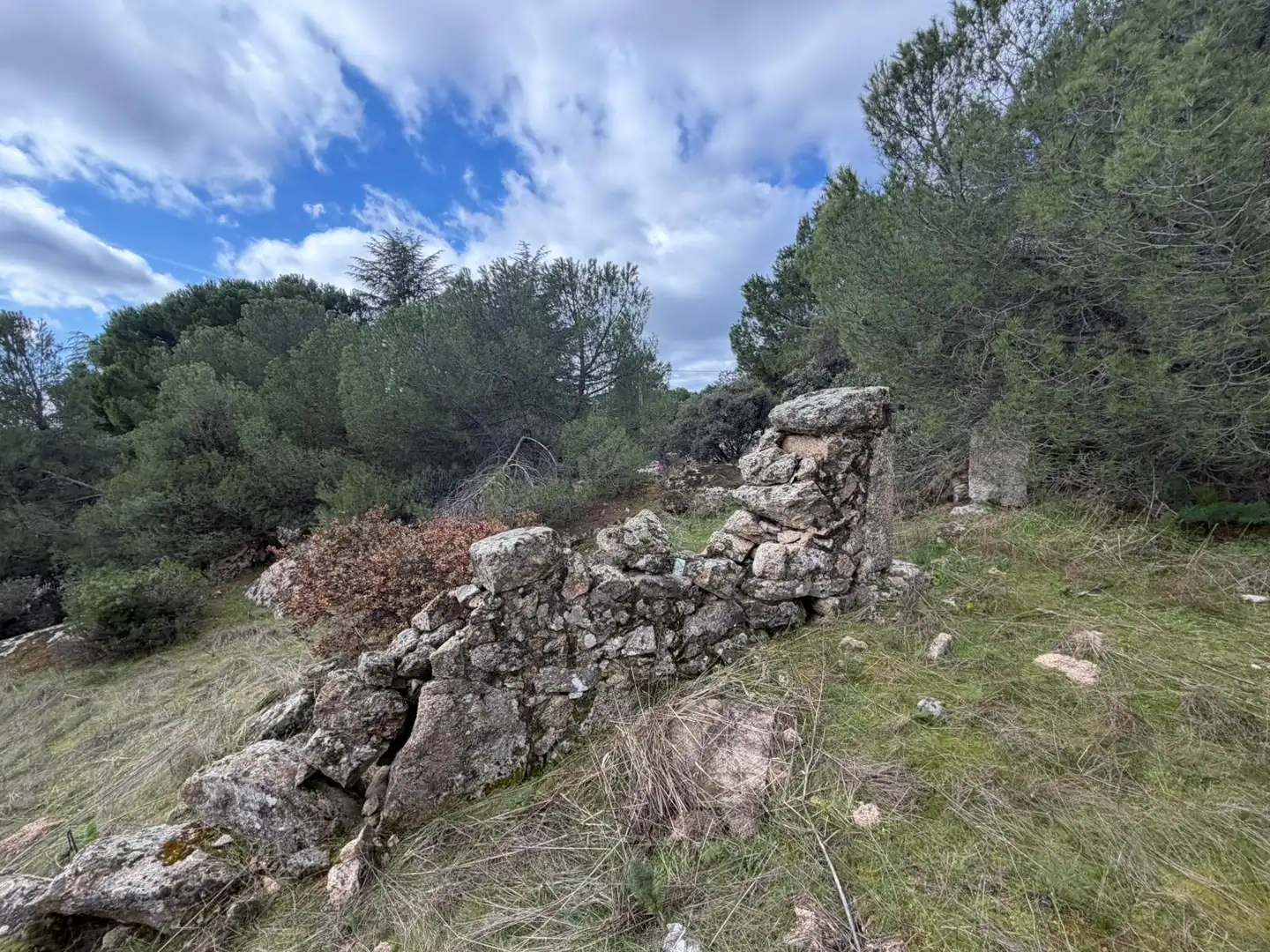 Residencial en venta en Torrelodones
