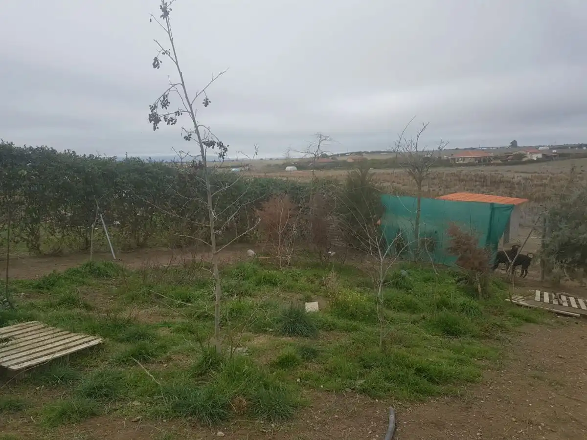 Terreni e lotti in vendita a Valdesalor - Rincón de Ballesteros, imagen 4