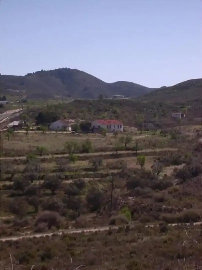 Finca rústica en venta en Lorca