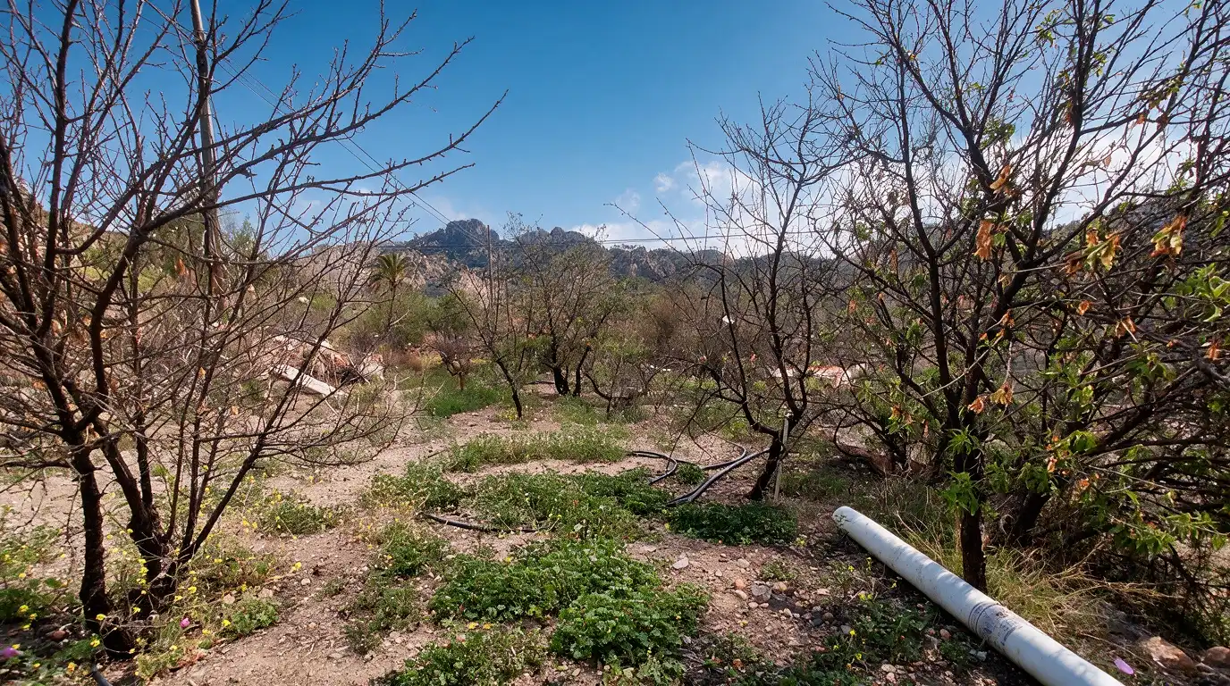 Finca rústica en venda en San Bartolomé de Tirajana amb Jardí privat
