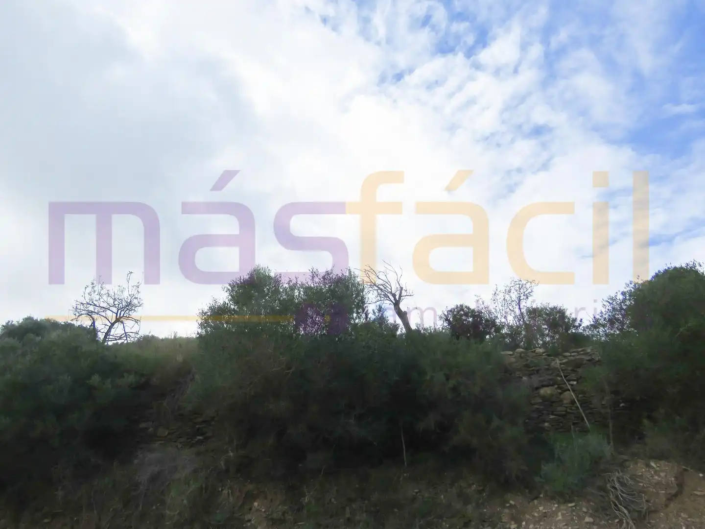 Finca rústica en venta en los Jarales, Perín