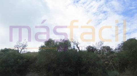 Foto 4 de Finca rústica en venta en Los Jarales, Perín, Murcia