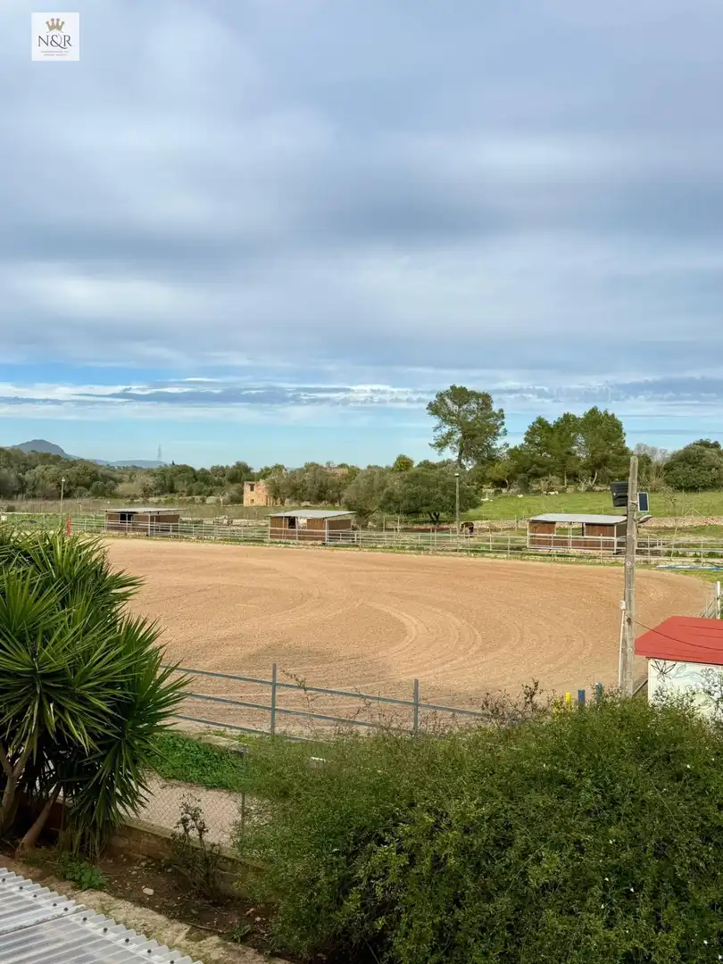 Vista exterior de Finca rústica en venta en Costitx