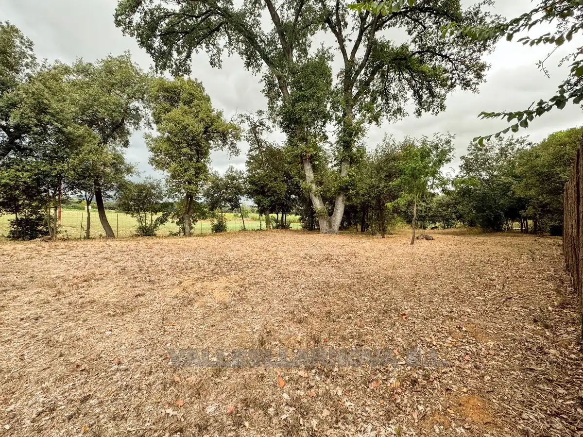 Chalet con piscina en venta en Sant Antoni de Vilamajor, imagen 8