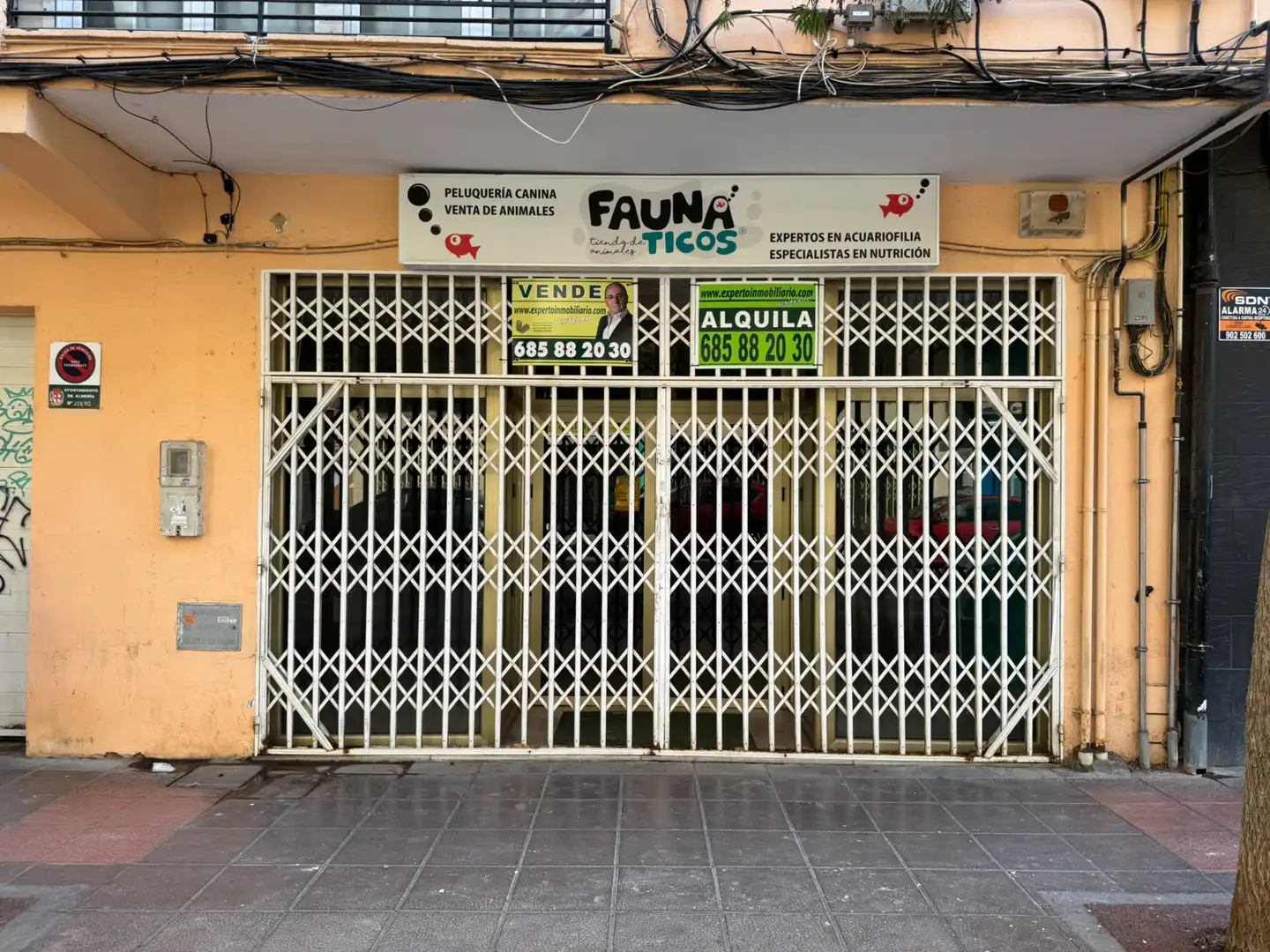 Local comercial de lloguer a Calle Doctor Carracido