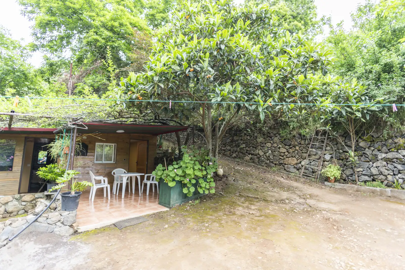 Jardín de Finca rústica en venta en San Juan de la Rambla con Aire acondicionado, Calefacción y Jardín privado