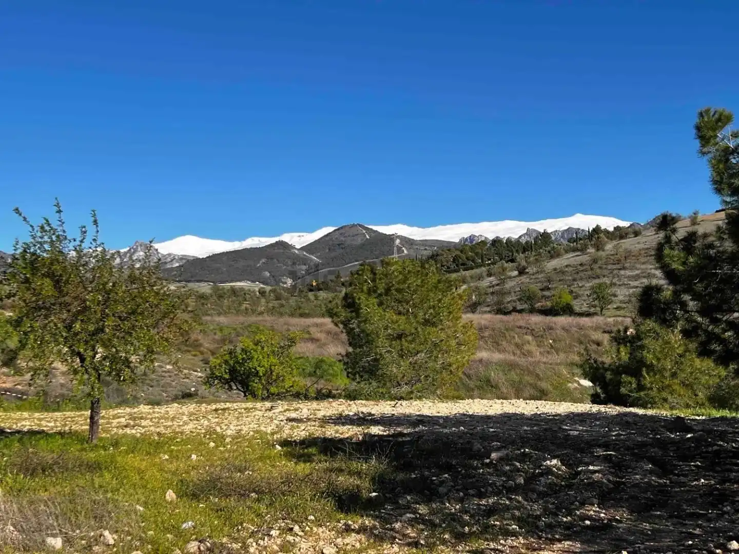 Land for sale in Gójar