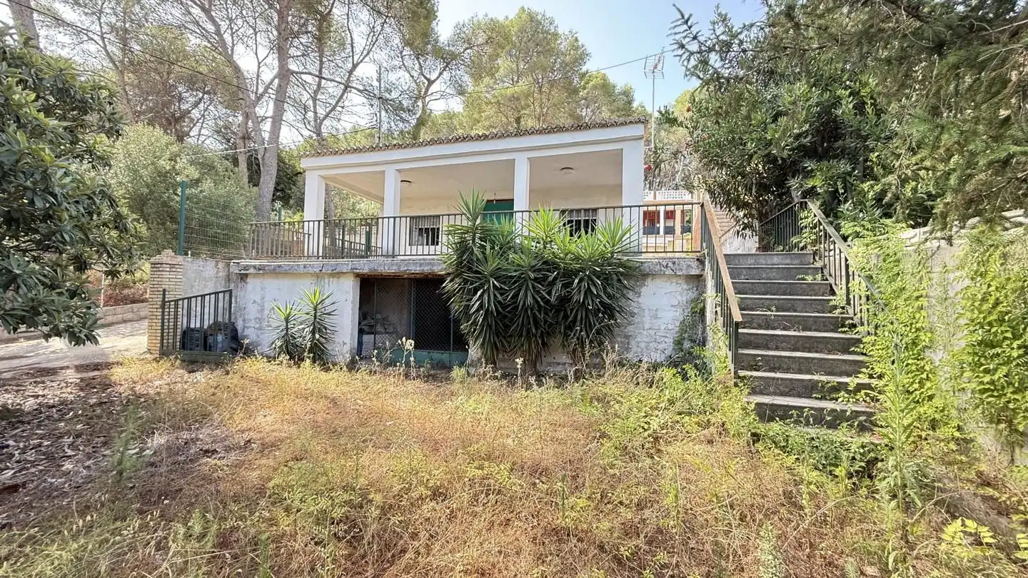 Vista exterior de Casa o xalet en venda en Alzira amb Jardí privat, Terrassa i Traster