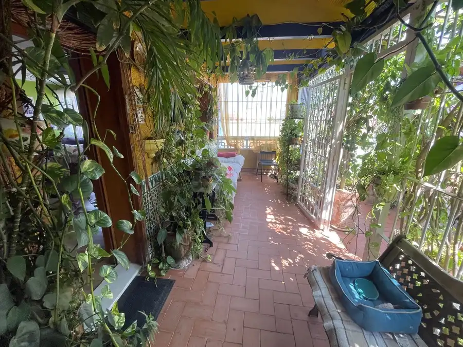 Reihenhaus zum Verkauf in Formentera del Segura, imagen 34